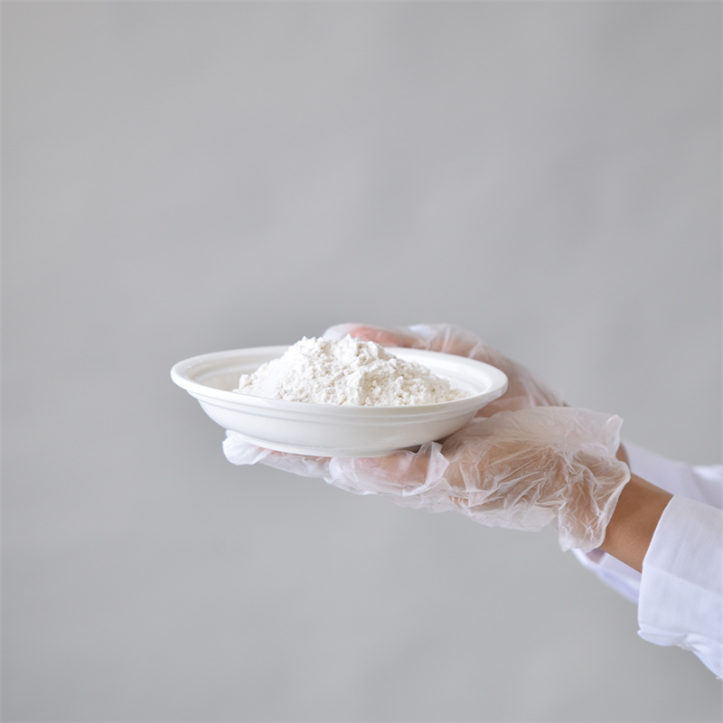 MES letsoai la sodium CAS 71119-23-8